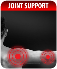 JOINT SUPPORT SUPPLEMENTS by Vitamin Prime